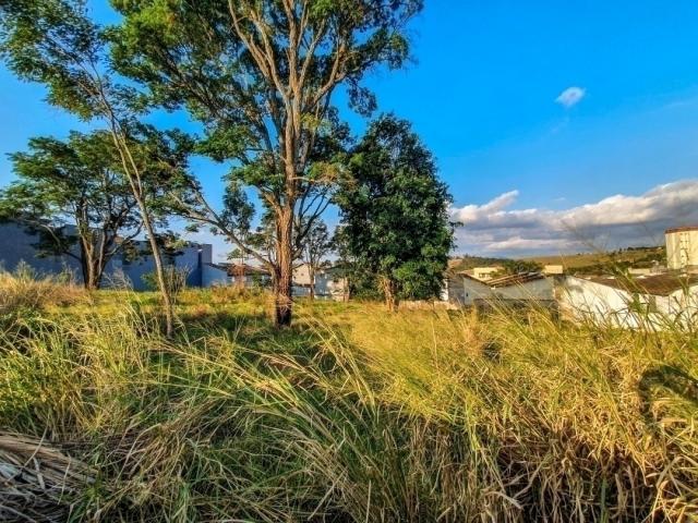 Área para Venda em Bragança Paulista - 4